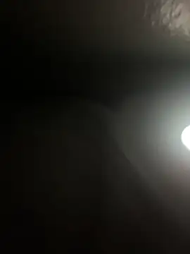 DICK5016 online show from April 21, 2026, 1:50 pm