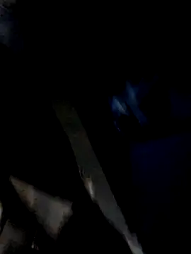 Snapshot of pasivagordita chatting on July 4, 2026, 9:37 am pasivagordita online show from July 4, 2026, 9:37 am