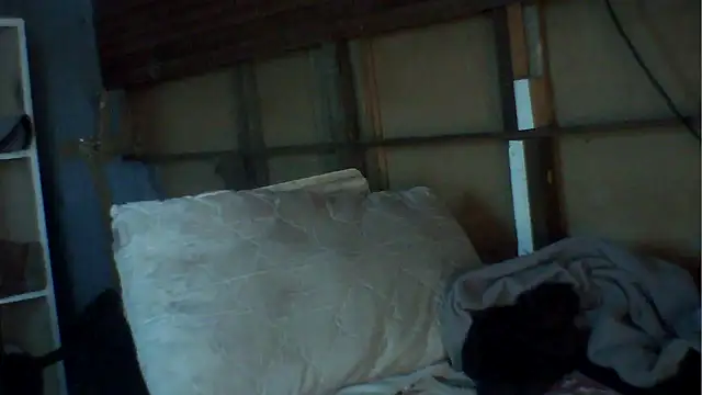 Snapshot of Camodick chatting on December 2, 2025, 8:49 am Camodick online show from December 2, 2025, 8:49 am