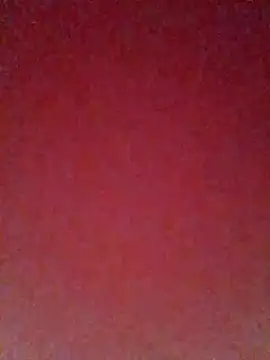 pricilanunes online show from July 6, 2026, 11:39 am