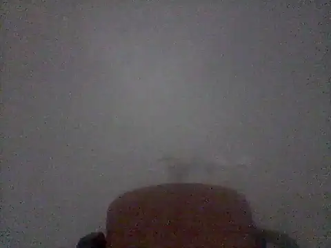Snapshot of Frank_X_Husle chatting on June 14, 2026, 7:37 pm Frank X Husle online show from June 14, 2026, 7:37 pm