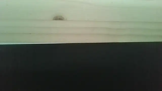 Snapshot of Hendrikje chatting on June 2, 2026, 4:40 pm Hendrikje online show from June 2, 2026, 4:40 pm