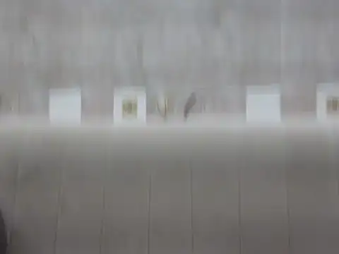 Snapshot of hey_darling_ chatting on June 12, 2026, 1:09 pm hey darling online show from June 12, 2026, 1:09 pm