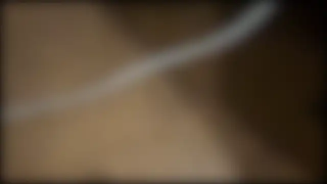 Snapshot of fuckr66669 chatting on July 19, 2026, 10:34 am fuckr66669 online show from July 19, 2026, 10:34 am