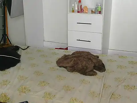 SexyLi  online show from July 30, 2026, 2:21 am