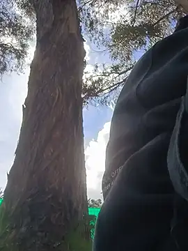 Thiagoo Vega online show from July 30, 2026, 7:24 pm