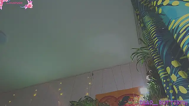 Dead Butterfly online show from January 31, 2025, 12:40 pm