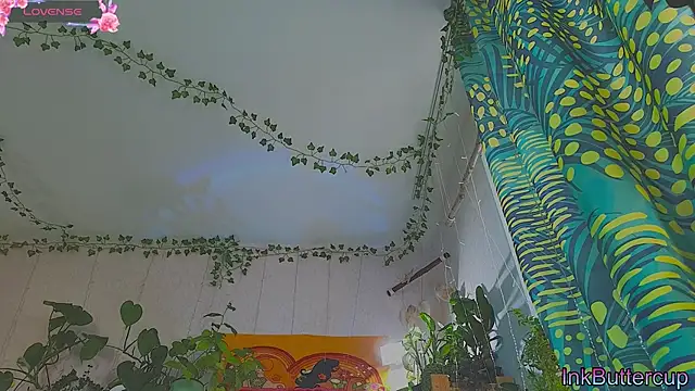 Dead Butterfly online show from September 16, 2025, 3:18 am