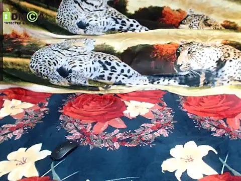 Queen Sarah online show from December 13, 2025, 8:04 pm