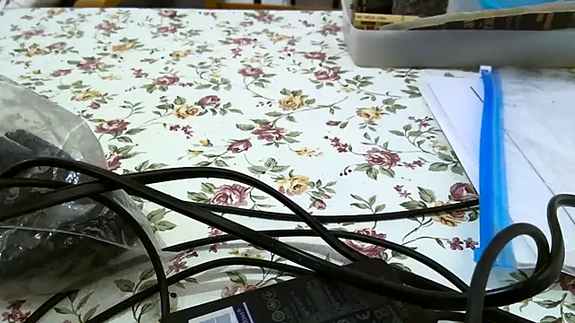 Bigjacky online show from September 9, 2025, 4:38 pm