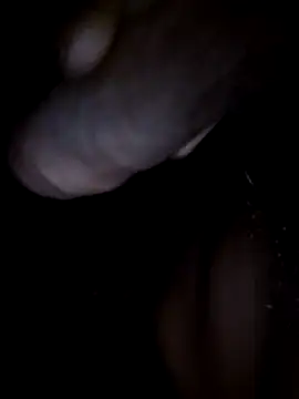 bscc online show from March 25, 2026, 8:57 am