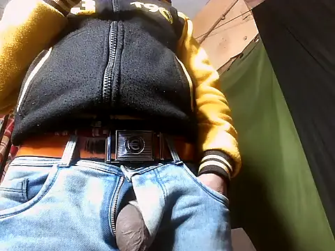 desiboy1101 online show from December 30, 2024, 1:36 pm