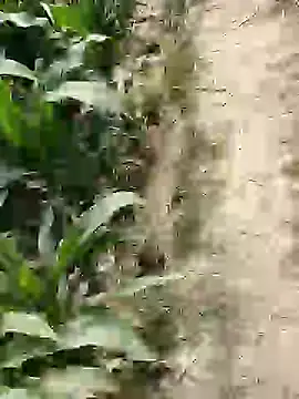 ThethunderPo online show from February 25, 2026, 7:41 am