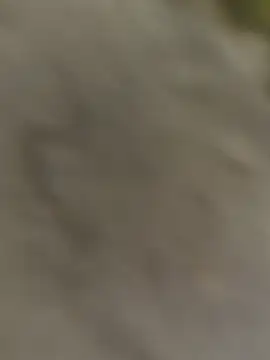 ThethunderPo online show from October 31, 2025, 3:25 am