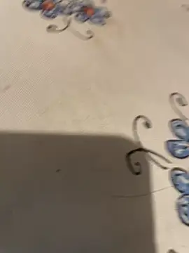 descret 19 online show from April 25, 2026, 4:04 pm