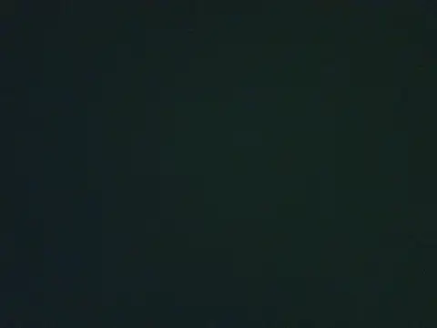 lonelycock33 online show from November 4, 2025, 8:23 pm