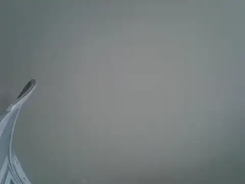 DitaVira online show from March 18, 2025, 1:34 pm