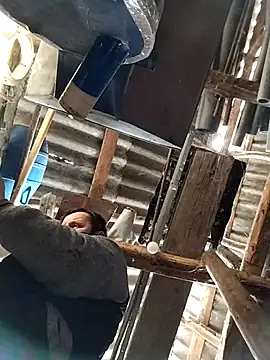 sarpe4 online show from January 15, 2026, 9:12 am