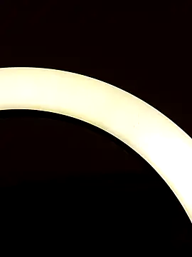 Snapshot of Bull8 chatting on January 23, 2025, 6:45 pm Bull8 online show from January 23, 2025, 6:45 pm