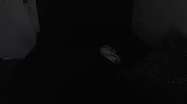 Snapshot of Chanelsexyy chatting on March 16, 2025, 8:43 pm Chanelsexyy online show from March 16, 2025, 8:43 pm