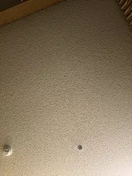 blue5455 online show from February 28, 2025, 6:21 am