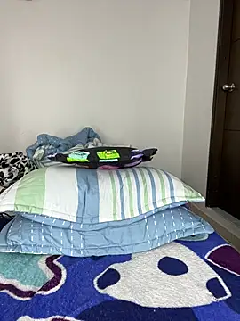 Snapshot of sandylau chatting on February 9, 2026, 6:17 pm sandylau online show from February 9, 2026, 6:17 pm