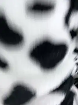 Snapshot of sandylau chatting on February 6, 2026, 1:23 am sandylau online show from February 6, 2026, 1:23 am