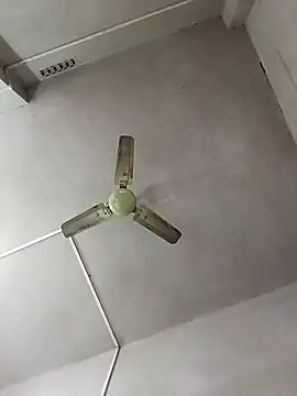 Dogol1990 online show from December 15, 2025, 6:19 am