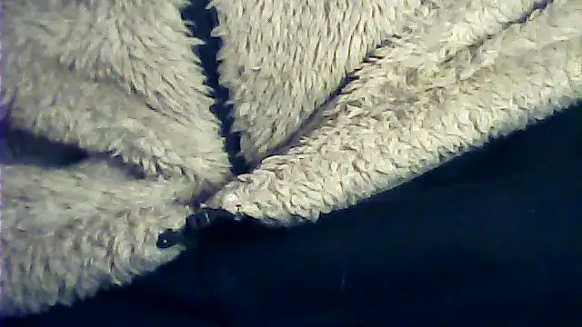 kalinixta online show from January 6, 2026, 6:45 pm