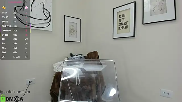 Snapshot of catalinaofficer chatting on November 9, 2025, 10:25 pm catalinaofficer online show from November 9, 2025, 10:25 pm