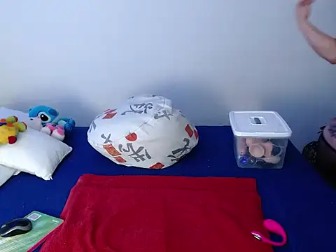 Snapshot of liseth_01hot chatting on December 19, 2025, 11:45 am liseth 01hot online show from December 19, 2025, 11:45 am