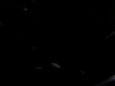 giga-bite online show from October 10, 2025, 3:46 pm