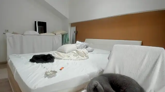 Snapshot of woolfiie chatting on October 16, 2025, 8:33 am woolfiie online show from October 16, 2025, 8:33 am