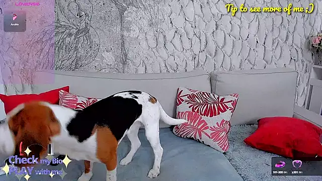 Snapshot of _MarryGirl_ chatting on January 10, 2025, 5:15 am MarryGirl online show from January 10, 2025, 5:15 am