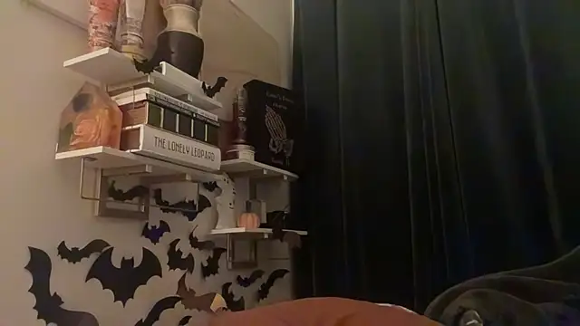 Snapshot of Sanaawest chatting on October 28, 2025, 12:04 pm Sanaawest online show from October 28, 2025, 12:04 pm