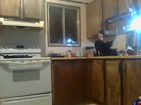 Snapshot of Ryoko_Momoko chatting on January 28, 2025, 7:22 am Ryoko Momoko online show from January 28, 2025, 7:22 am