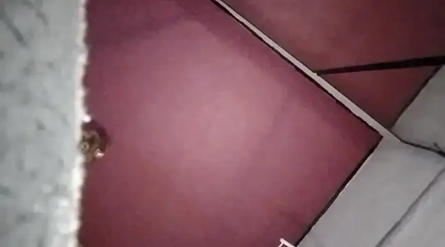 Mariusz38x online show from December 30, 2024, 10:34 pm