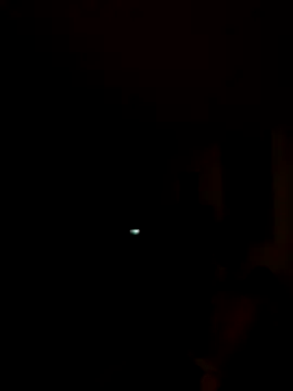 tropikboy online show from November 7, 2025, 9:58 am