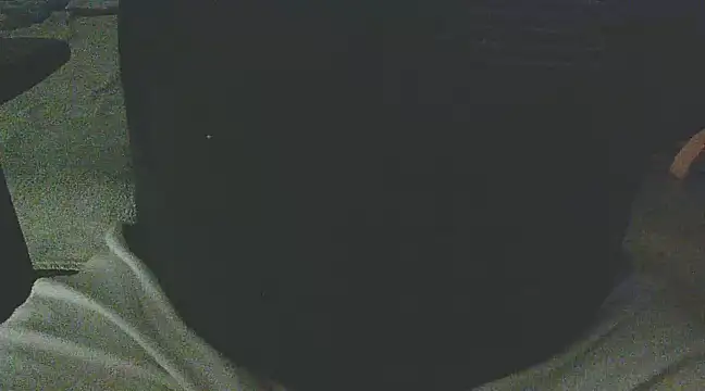 Snapshot of Palimy chatting on February 4, 2025, 11:16 pm Palimy online show from February 4, 2025, 11:16 pm