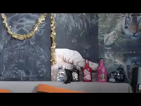 Snapshot of viking_30 chatting on February 20, 2026, 6:48 am viking 30 online show from February 20, 2026, 6:48 am