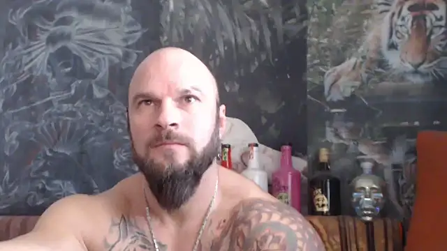 Snapshot of viking_30 chatting on November 26, 2025, 7:41 am viking 30 online show from November 26, 2025, 7:41 am