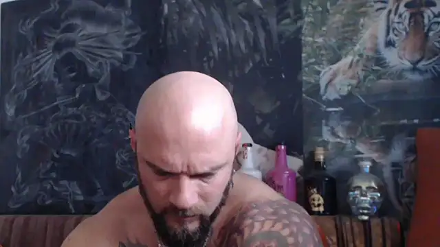 Snapshot of viking_30 chatting on November 9, 2025, 7:56 am viking 30 online show from November 9, 2025, 7:56 am