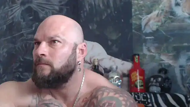 viking 30 online show from May 21, 2026, 6:44 am