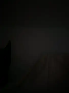 Marocainegroscul online show from November 16, 2025, 7:02 am