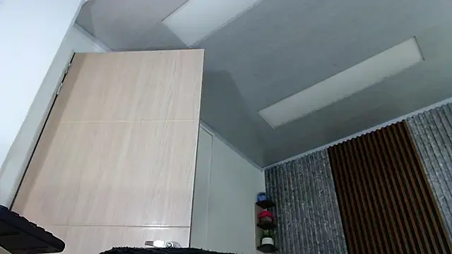 Snapshot of SARA_TS_FOX chatting on February 27, 2025, 12:14 am SARA TS FOX online show from February 27, 2025, 12:14 am