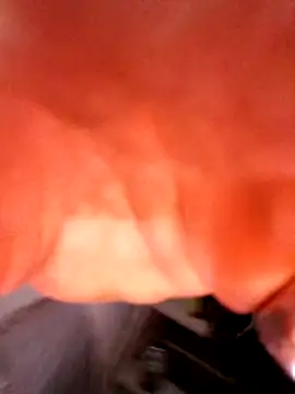 justinewe69 online show from February 11, 2026, 8:14 am