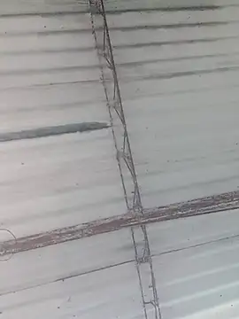 jonnygomez online show from January 18, 2026, 11:35 am