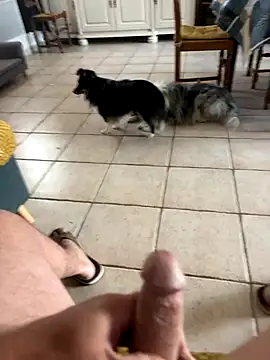 Snapshot of Loul41 chatting on November 2, 2025, 2:55 pm Loul41 online show from November 2, 2025, 2:55 pm