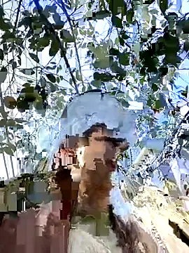 everybody loves pussy online show from October 19, 2025, 2:31 pm