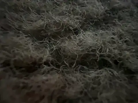 Exclusivenutxxx online show from February 22, 2025, 5:12 am